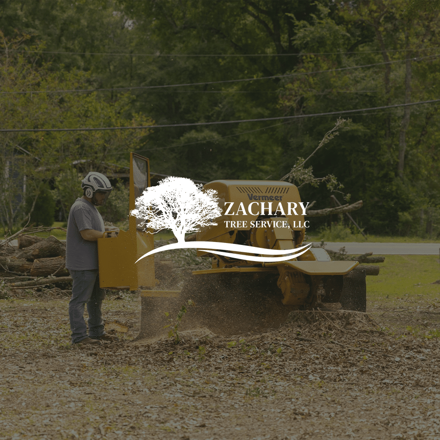 Zachary Tree Service work site