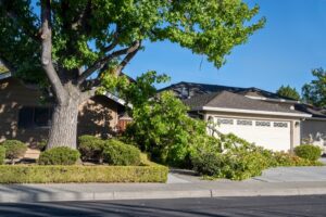Dangerous,Fallen,Tree,Branch,In,Residential,Neighborhood.,Causes,Can,Include