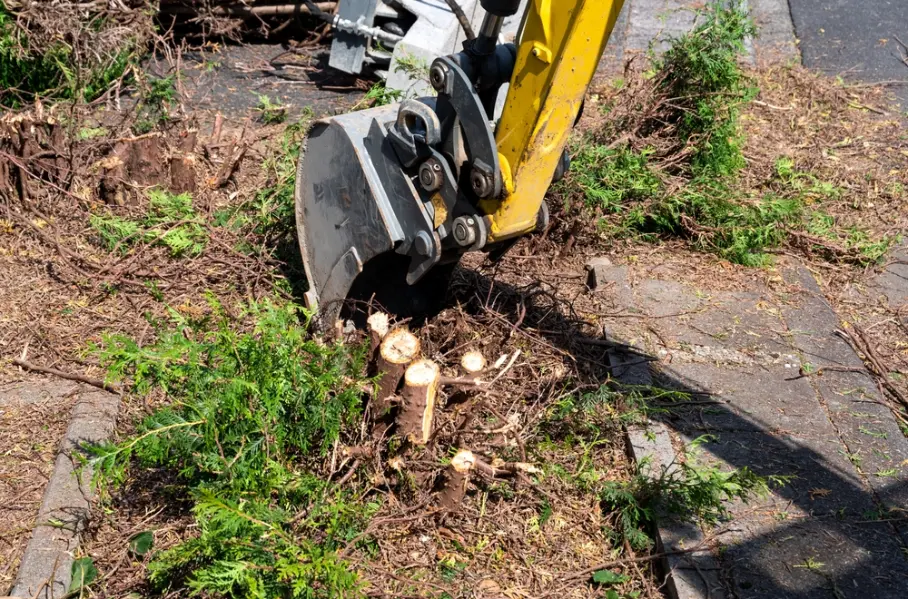 A bulldozer removing tree stumps from a yard