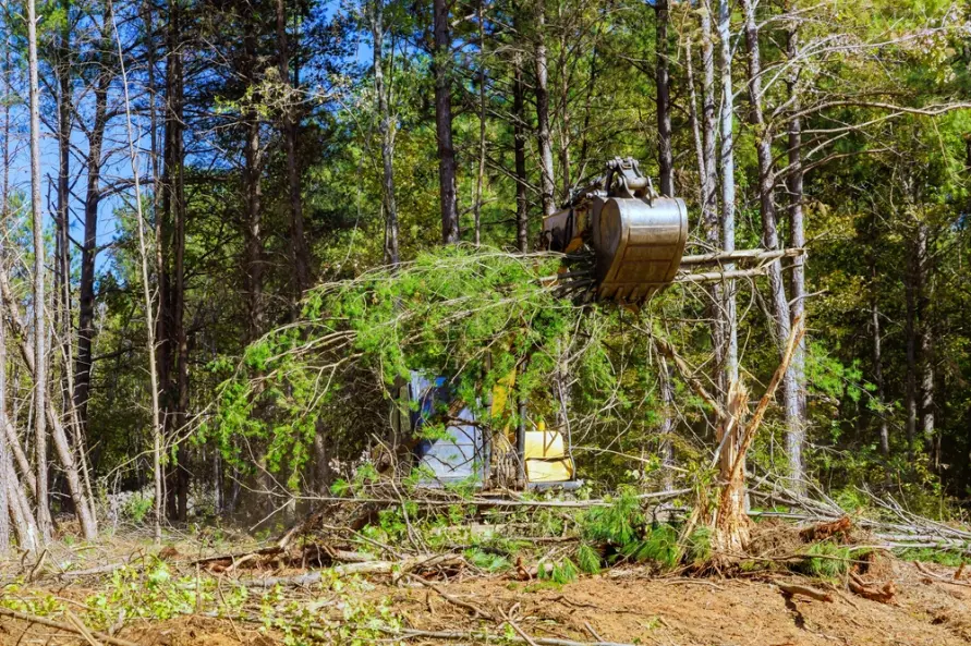 A bulldozer pulling down trees